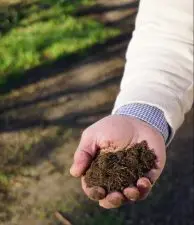 A person holds a handful of dark brown soil up to the camera, in order to show off the soil health and texture.