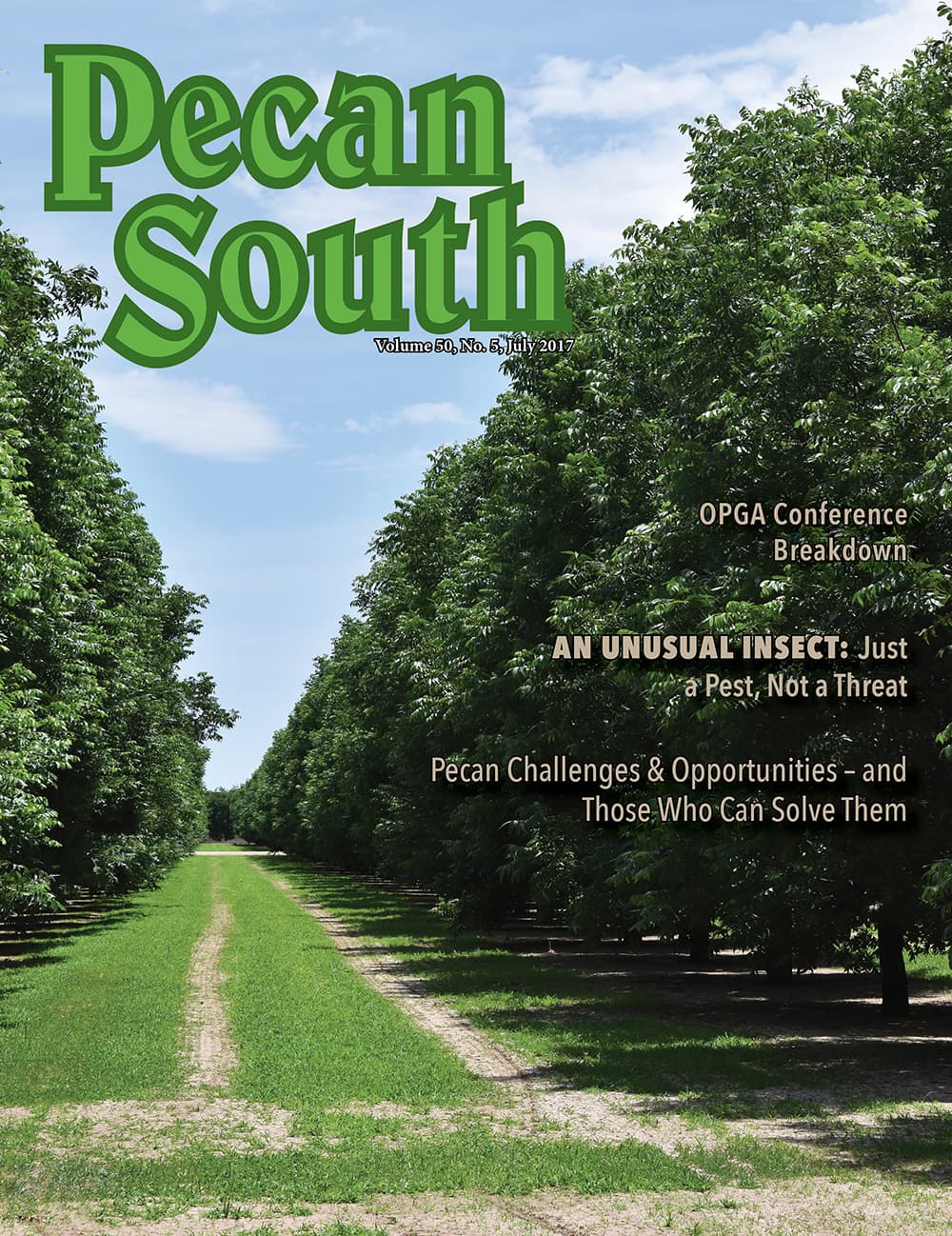Issue Cover