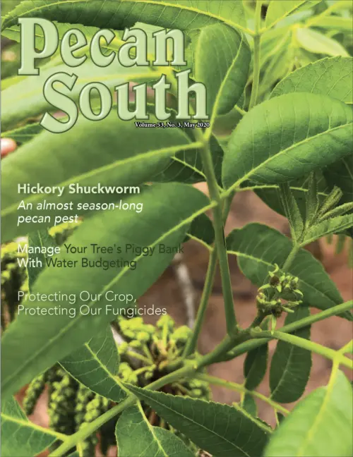 Issue Cover