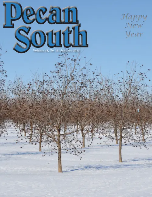 Issue Cover
