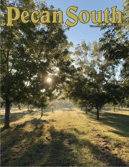 Issue Cover