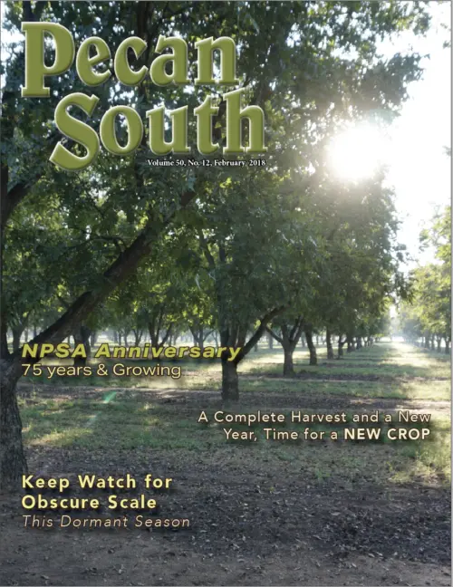 Issue Cover