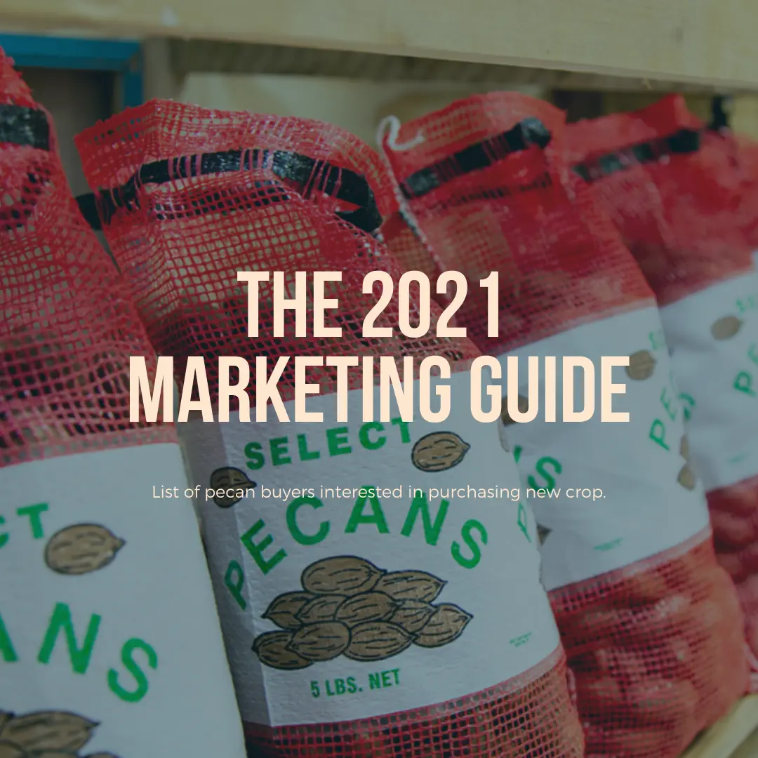 Cover image for the 2021 Marketing Guide—a list of pecan buyers. The graphic shows the words the 2021 Marketing Guide with a background of pecans in 5-pound sacks.