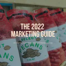 Cover image for the 2022 Marketing Guide—a list of pecan buyers. The graphic shows the words the 2021 Marketing Guide with a background of pecans in 5-pound sacks.