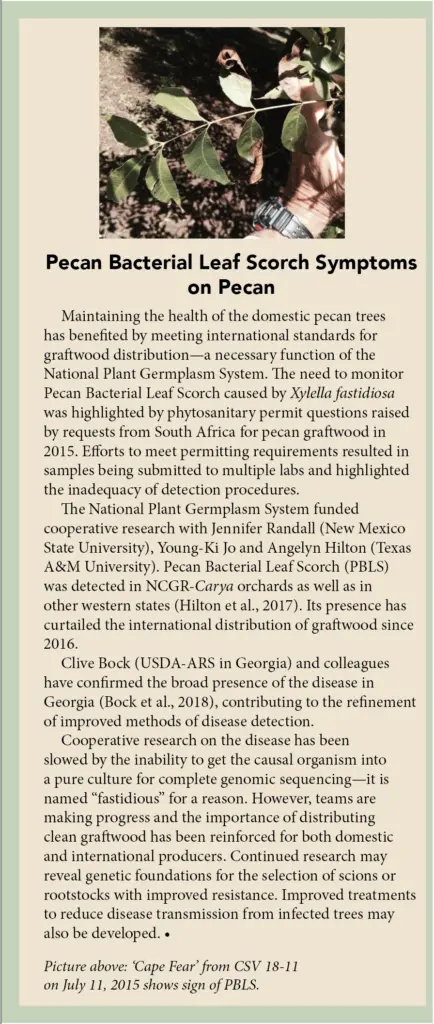 A sidebar that discusses how the National Plant Germplasm System is no longer able to send out rootstock because of Xylella fastidiosa.
