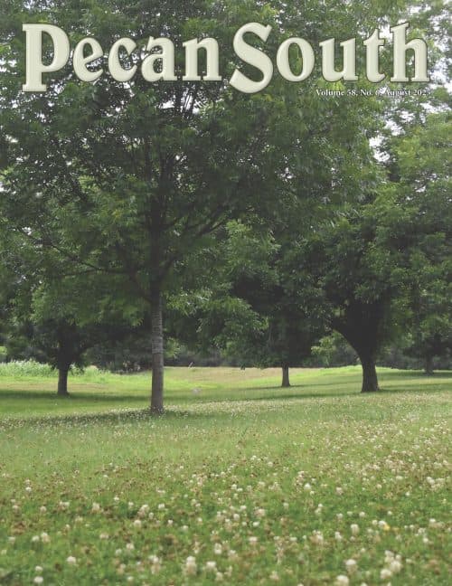 Issue Cover