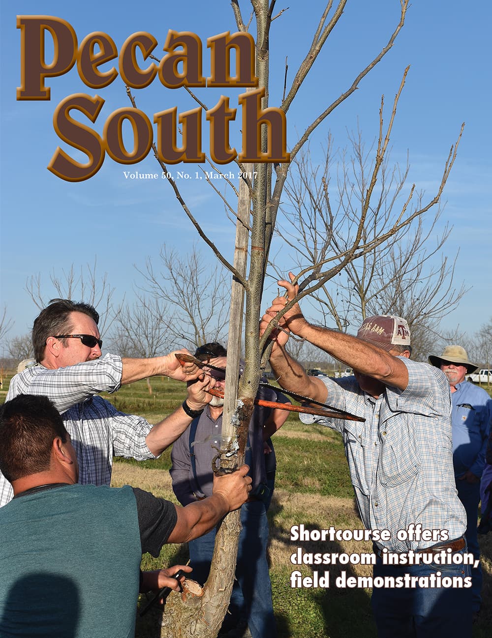 Issue Cover