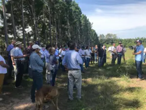 A group stands before a line of trees and listens to a presenter with a megahorn.