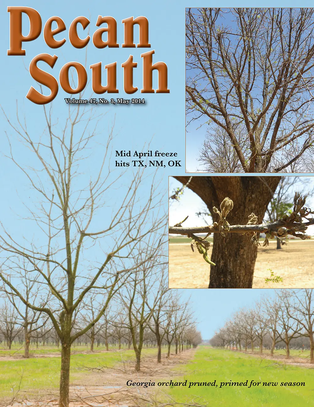 Issue Cover