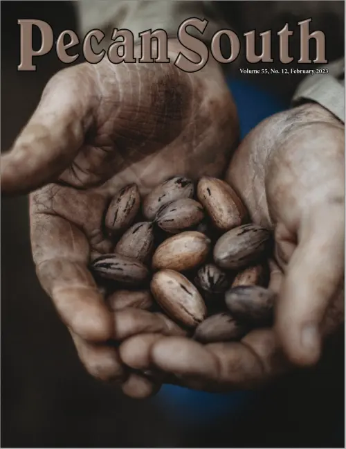 Issue Cover