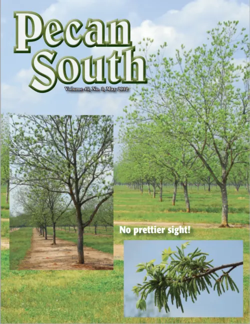 Issue Cover