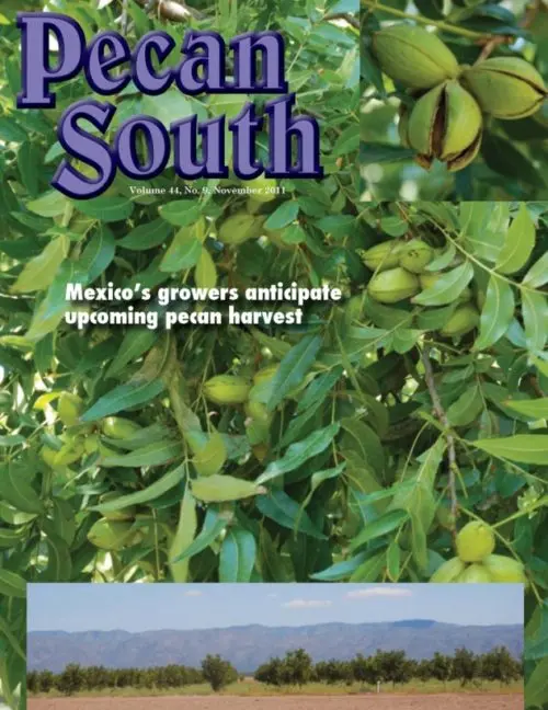 Issue Cover