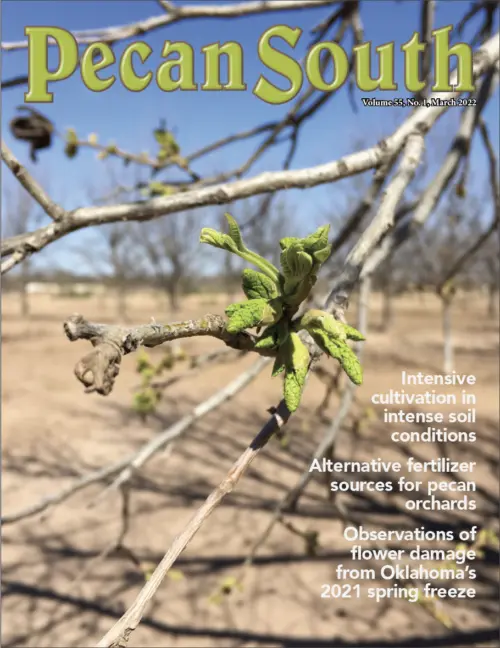 Issue Cover
