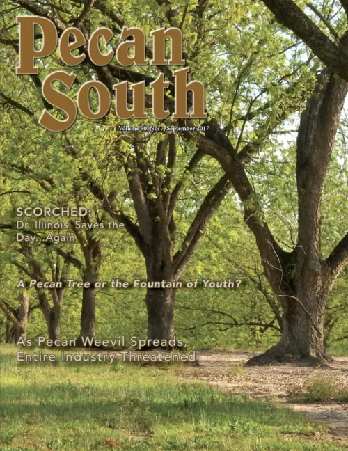 Issue Cover