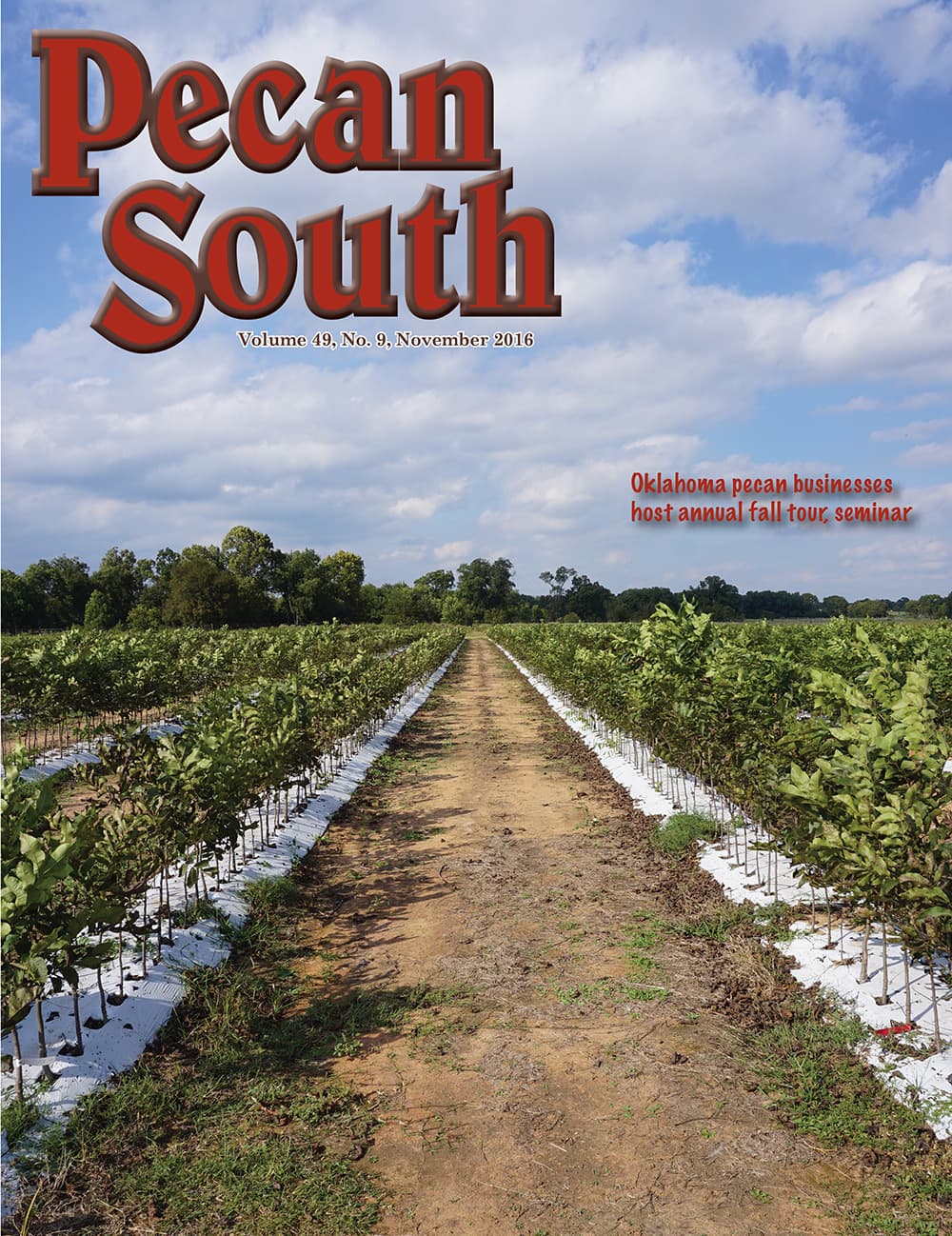 Issue Cover