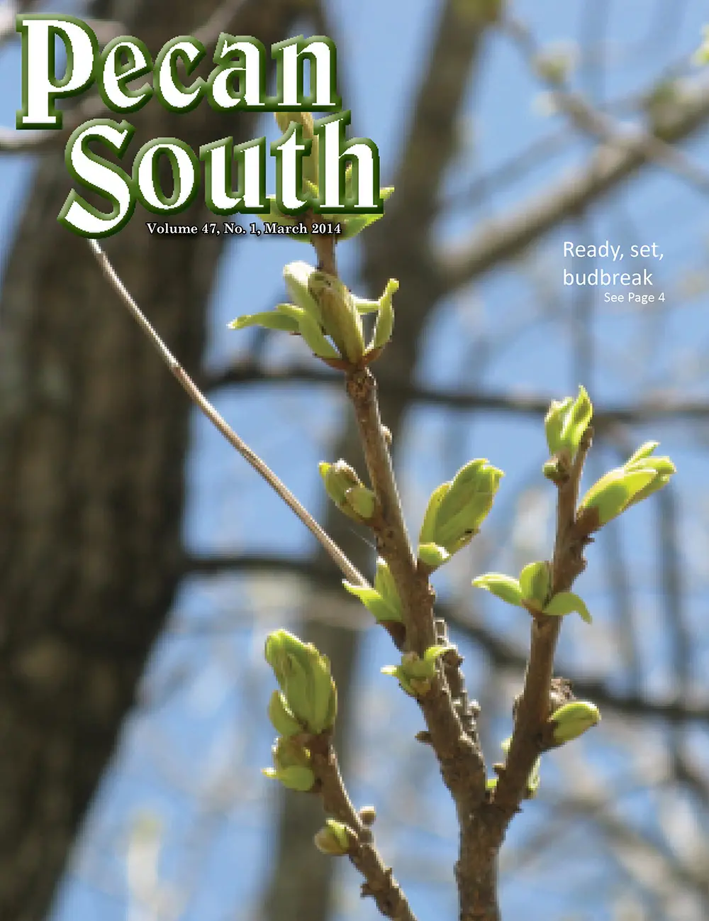 Issue Cover