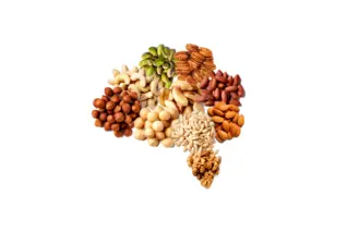 Variety of tree nuts organized into the shape of a brain.