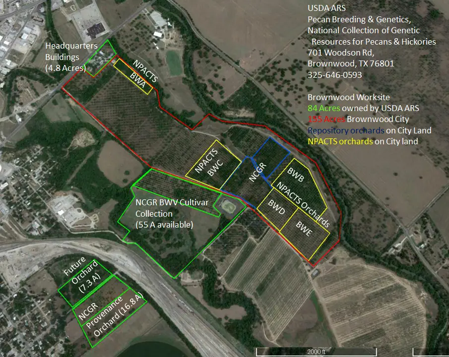 A satellite image of the USDA ARS Pecan Breeding and Genetics Program in Brownwood.
