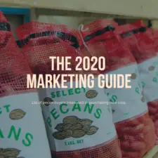 Image for the 2020 Marketing Guide, shows the words "The 2020 Marketing Guide" with a background of pecans in 5-pound sacks.
