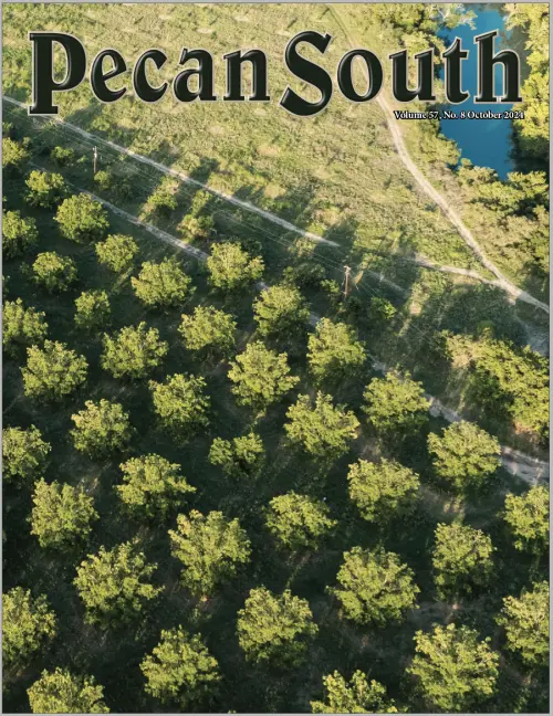 Issue Cover