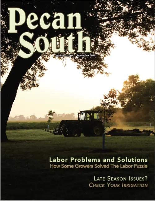 Issue Cover