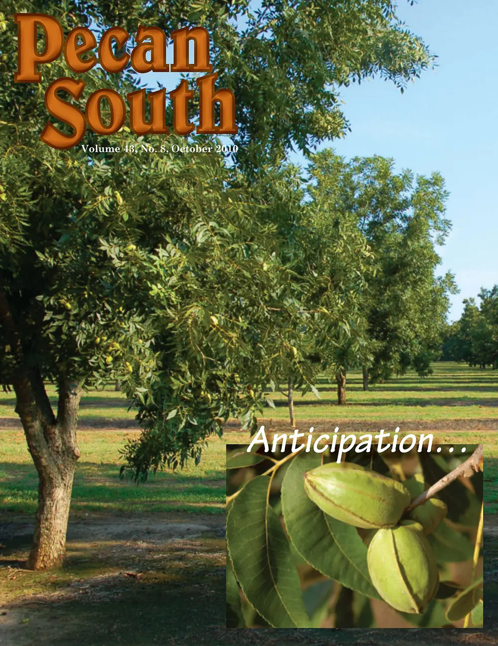 Issue Cover