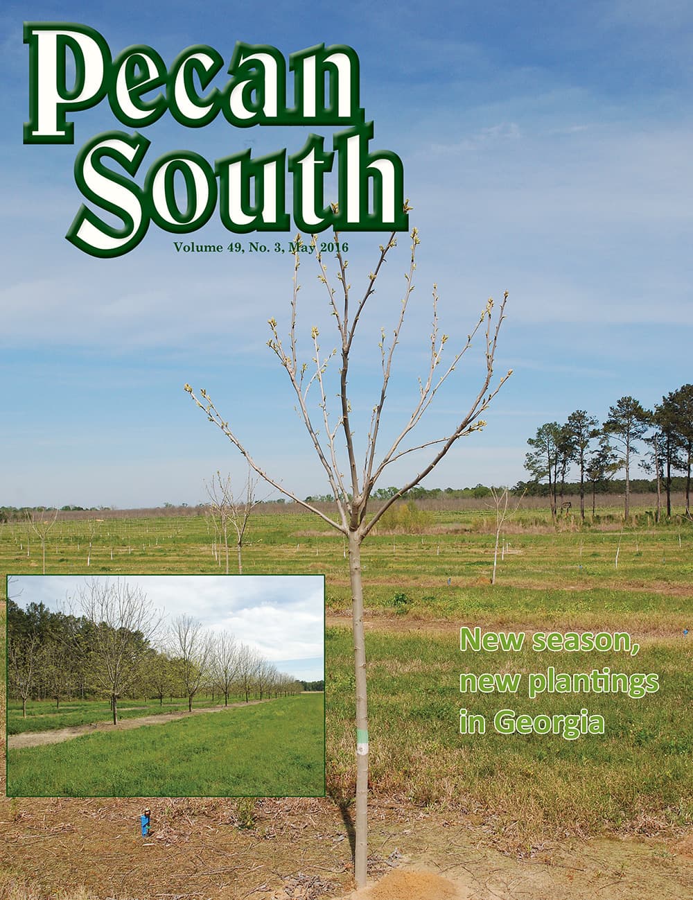 Issue Cover