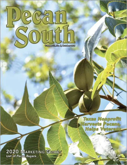 Issue Cover