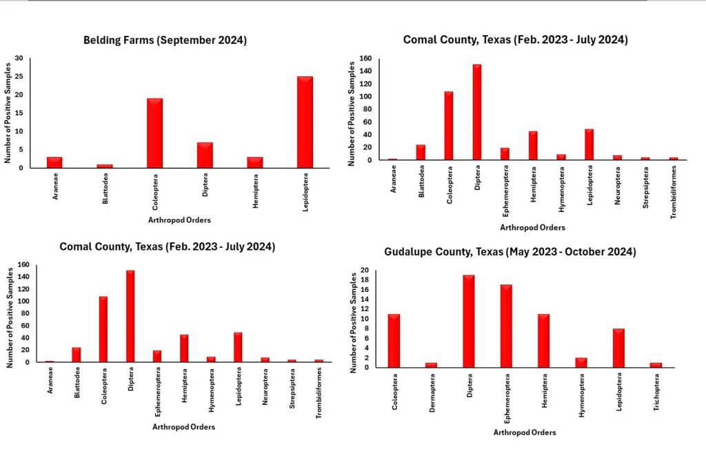 Diversity of arthropod DNA identified in bat guano that was collected from underneath bat houses in various locations across Texas. The vertical axis indicates the number of samples that were positive for each listed arthropod order. The horizontal axis lists the different arthropod orders found: Araneae = spiders, Blattodea = roach and termites, Coleoptera = beetles, Dermaptera = earwigs, Diptera = flies (including mosquitoes), Ephemeroptera = mayflies, Hemiptera = true bugs (stink bugs, leafhoppers, sharpshooter, aphids, etc.), Hymenoptera = bees, wasps, and ants, Lepidoptera = butterflies and moths, Neuroptera = lacewings, Strepsiptera = twisted wing parasites, Trichoptera = caddisflies, Trombidiiformes = mites, Sarcoptiformes = mites.