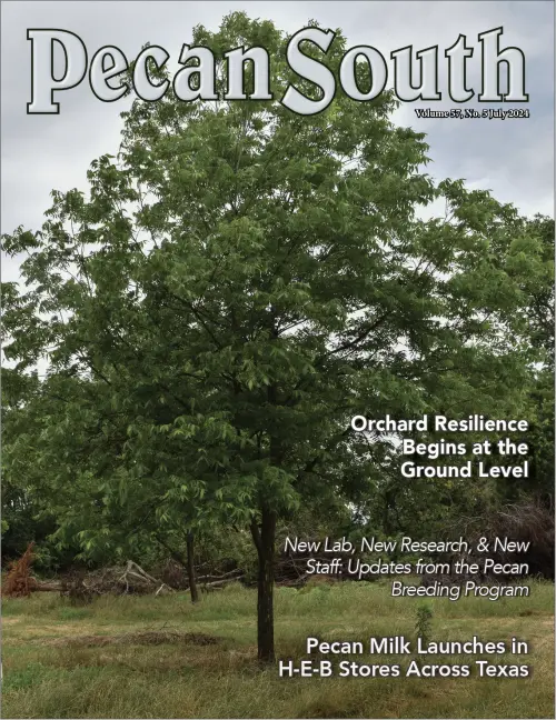 Issue Cover