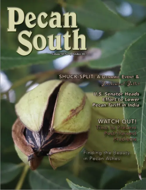Issue Cover