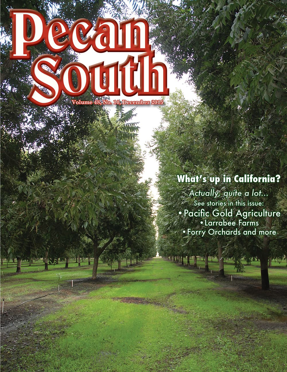 Issue Cover