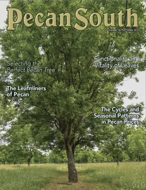 Issue Cover
