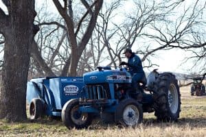 Harvest in motion at the Oliver Pecan Company orchard, where the work begins long before pecan oil reaches the bottle.