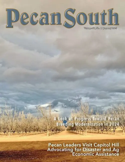 Issue Cover