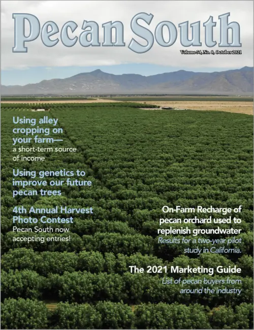 Issue Cover