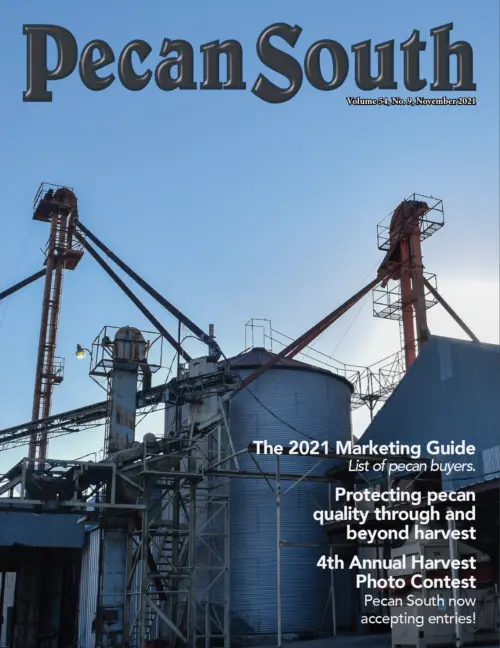 Issue Cover