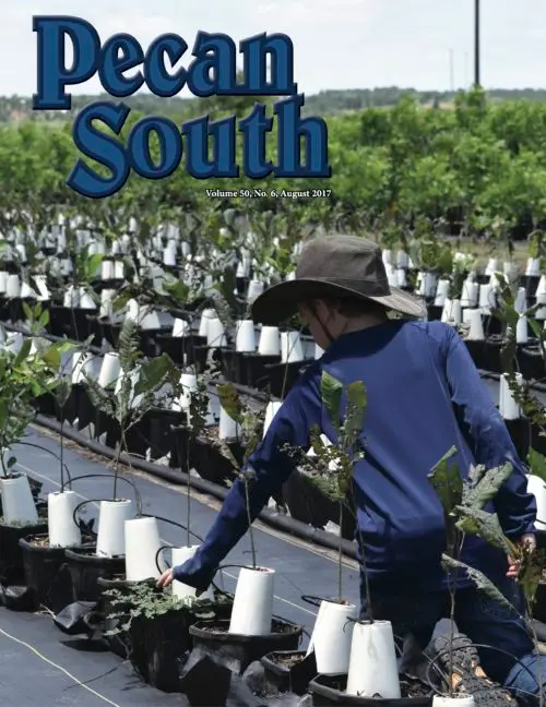Issue Cover