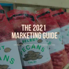 Cover image for the 2021 Marketing Guide—a list of pecan buyers. The graphic shows the words the 2021 Marketing Guide with a background of pecans in 5-pound sacks.