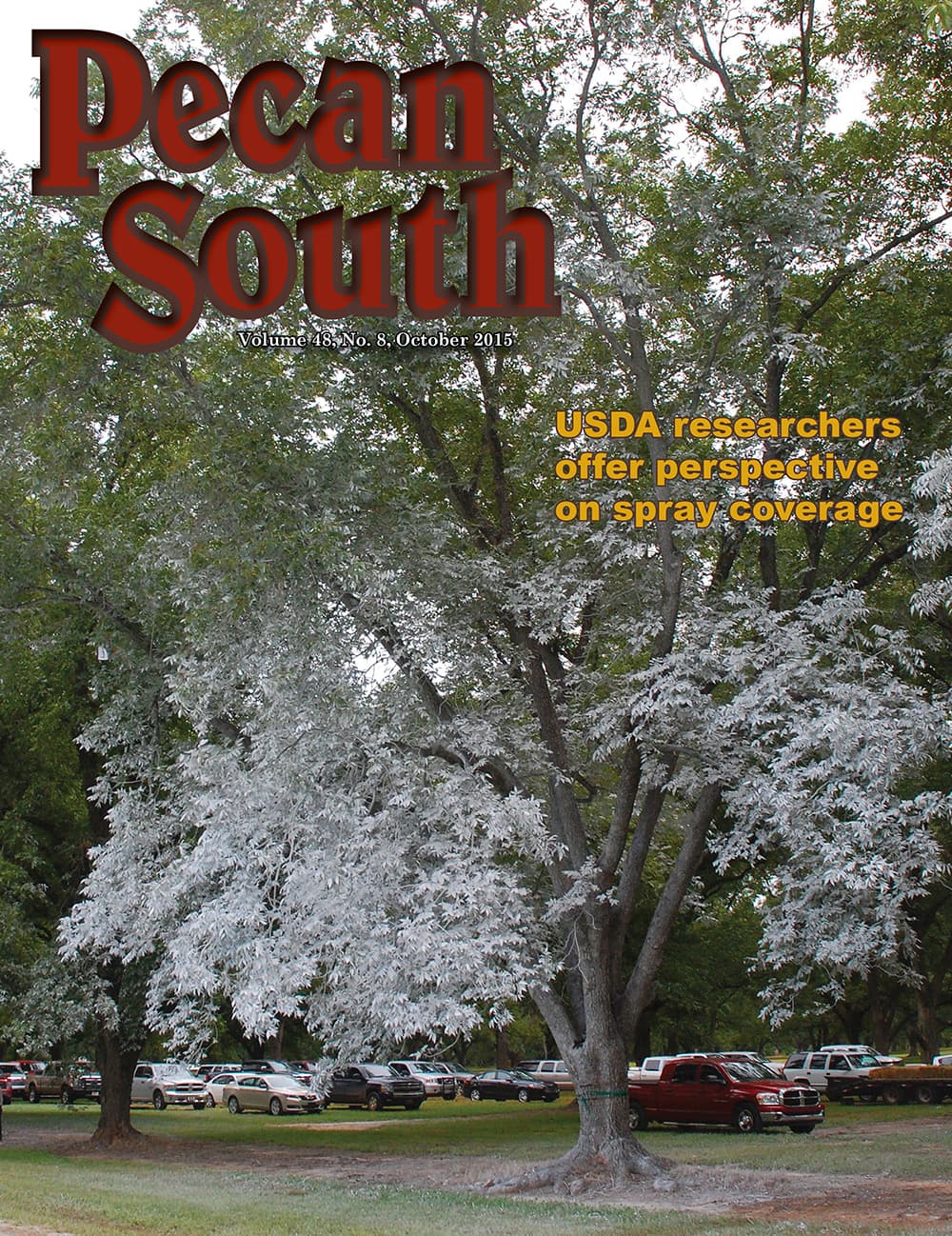 Issue Cover