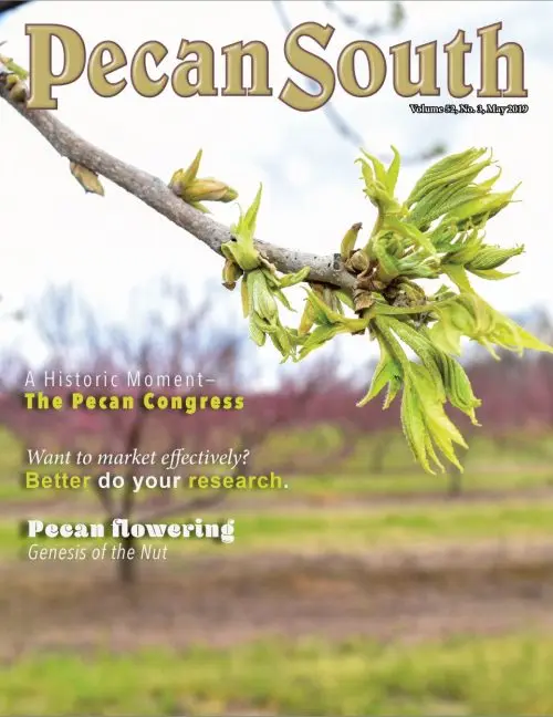 Issue Cover