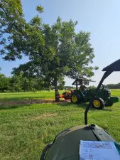Figure 1. Mechanical thinning of selected medium- and heavy-crop trees to reduce them to light or medium crops, used as a comparison to naturally heavy- and light-crop trees for analyzing molecular changes in shoots, leaves, and buds. The orchard is located at the Oklahoma State University Cimarron Valley Research Station. (Image provided by Lu Zhang)