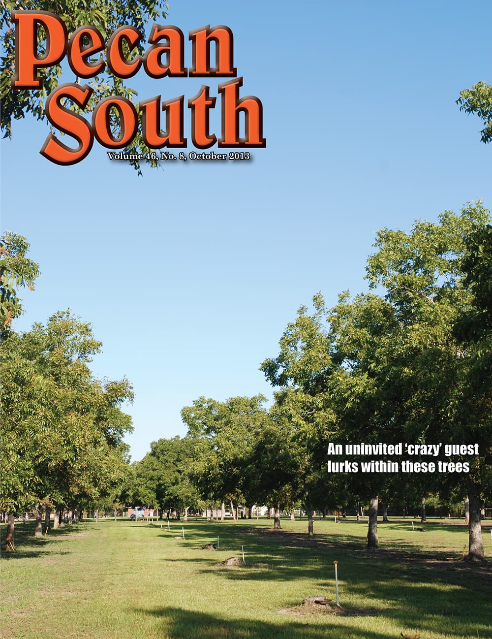 Issue Cover