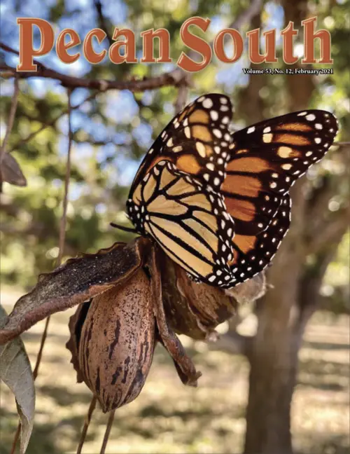 Issue Cover