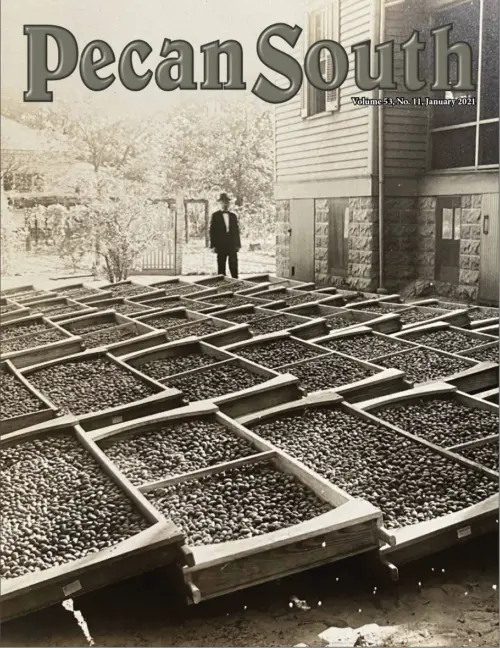Issue Cover