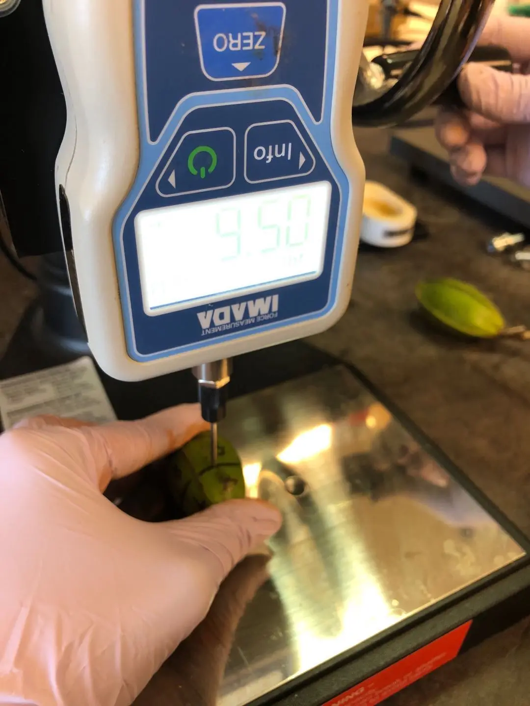 This study uses a probe needle to measure an inshell pecan's nut firmness to see how it links to weevil damage.
