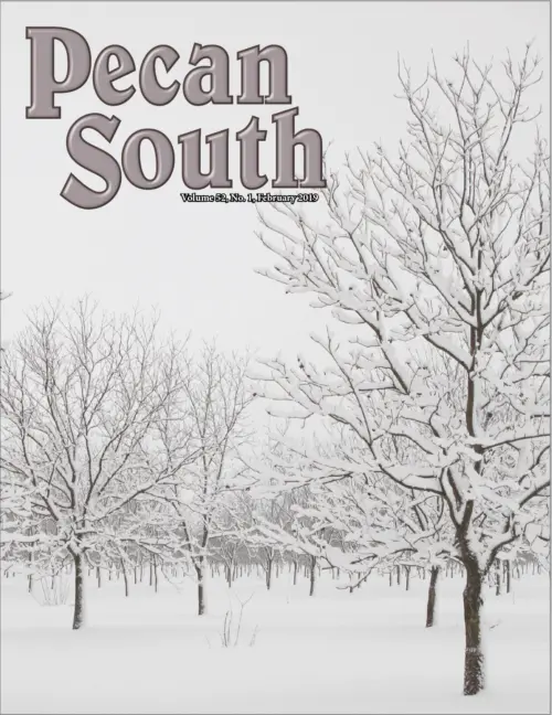 Issue Cover