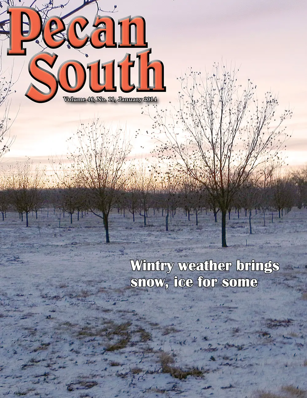 Issue Cover