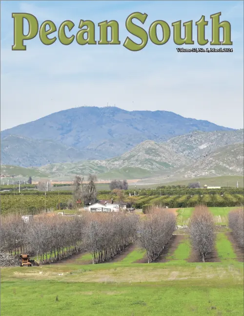 Issue Cover