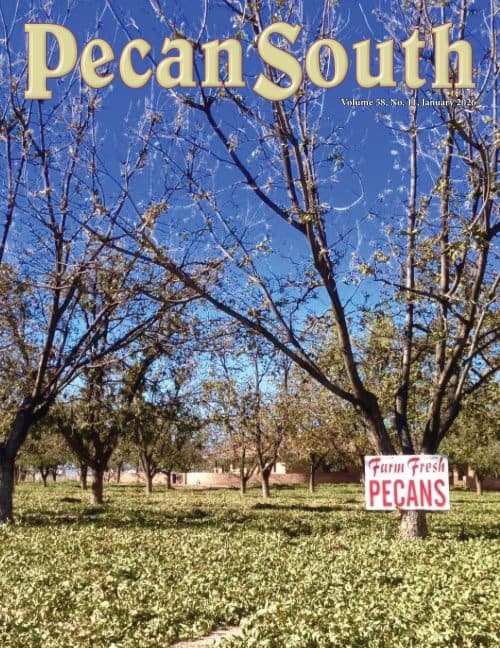 Issue Cover